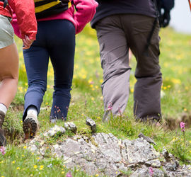 Nordic walking: s hůlkami proti revmatu